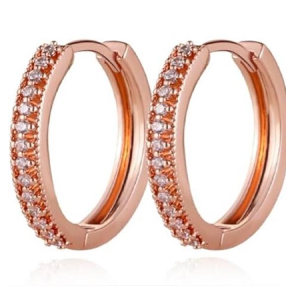 Rose Gold Hoop Hinged Earrings with Rhinestones - Picture 1 of 3